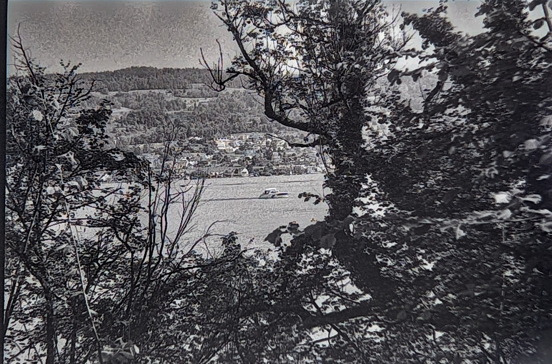A boat cruising on lake Zurich as seen from behind some trees