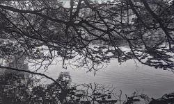 Featured image of post First roll of Cinestill XX