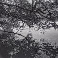 First roll of Cinestill XX