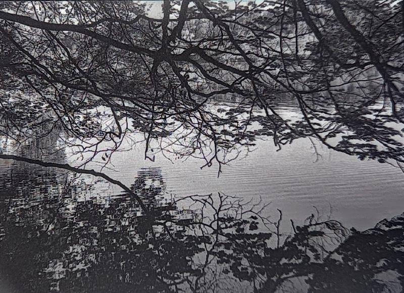 Featured image of post First roll of Cinestill XX