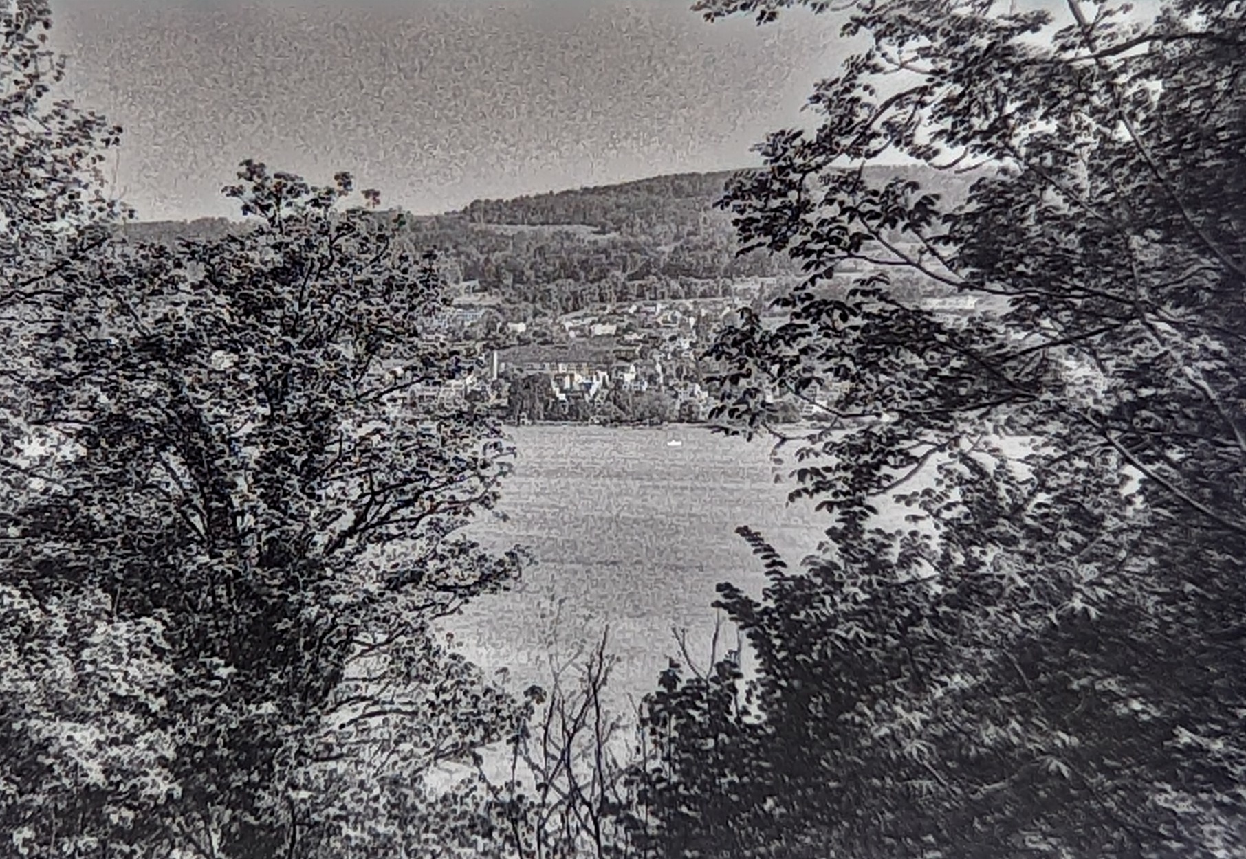 Zürichsee as seen from Halbinsel Au