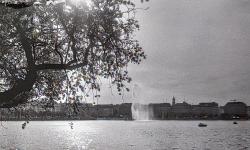 Featured image of post Photos from Hamburg, 2025