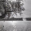 Photos from Hamburg, 2025