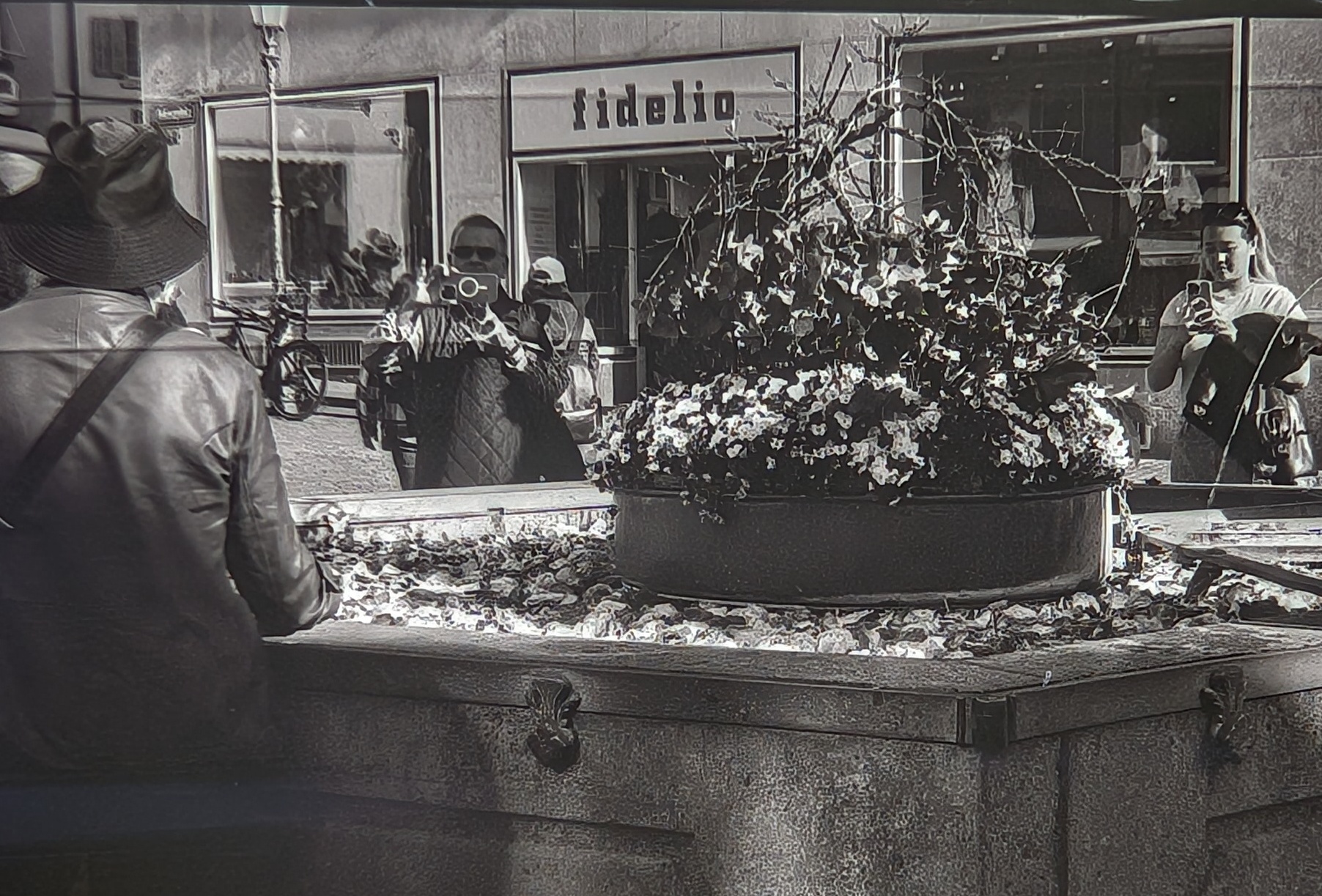An old fountain with roses floating on the water in Zurich