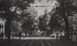 Featured image of post My first roll of 35mm
