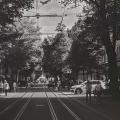 My first roll of 35mm