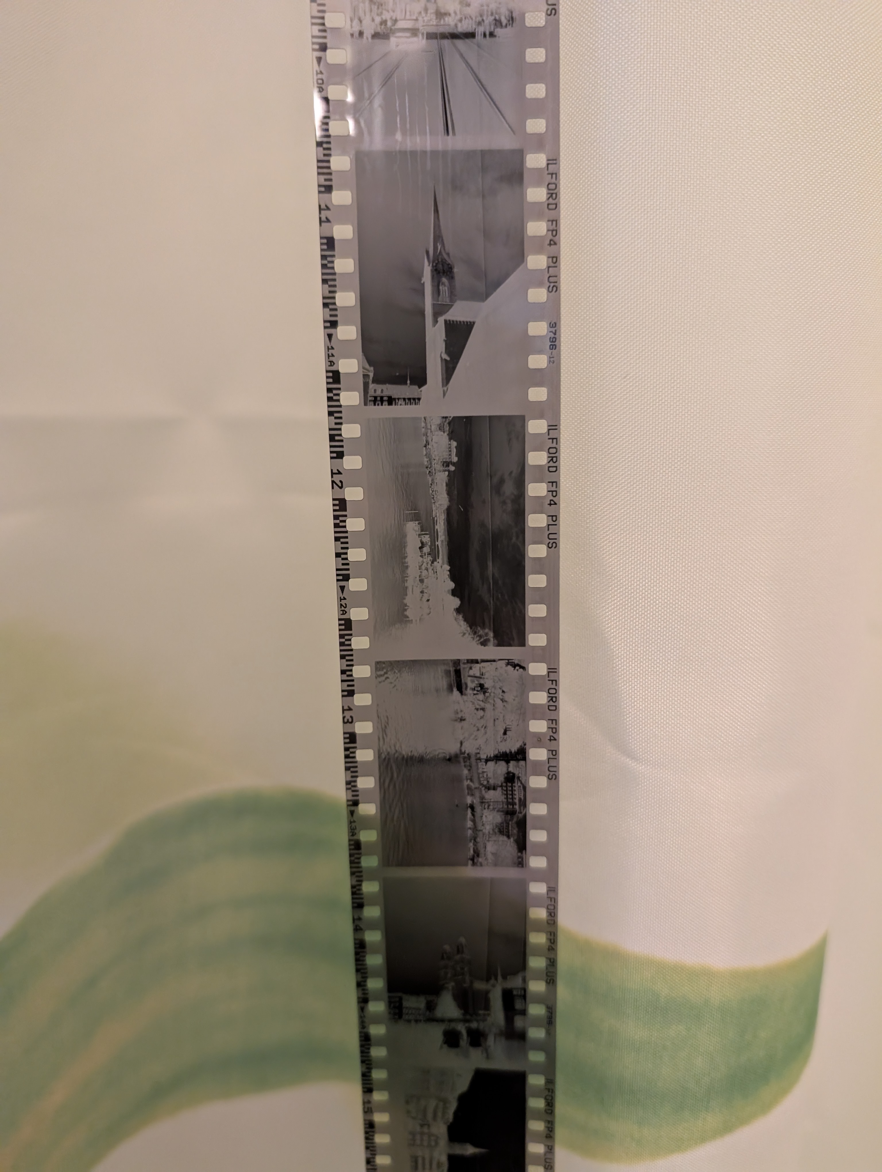 The first roll of film after development, hanging to dry